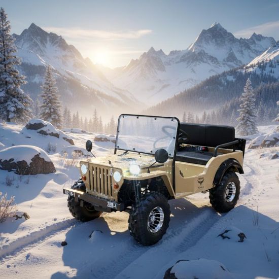 صورة سيارة جيب ميني بنزين 150 سي سي كروم